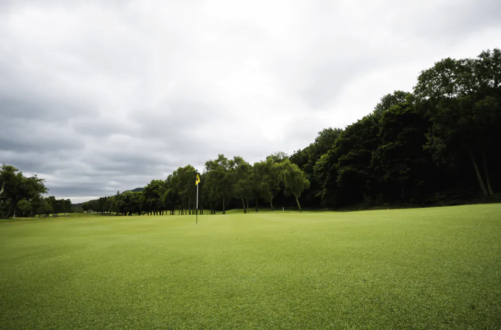 007 Creeping Bentgrass: The resilient turfgrass for golf greens 