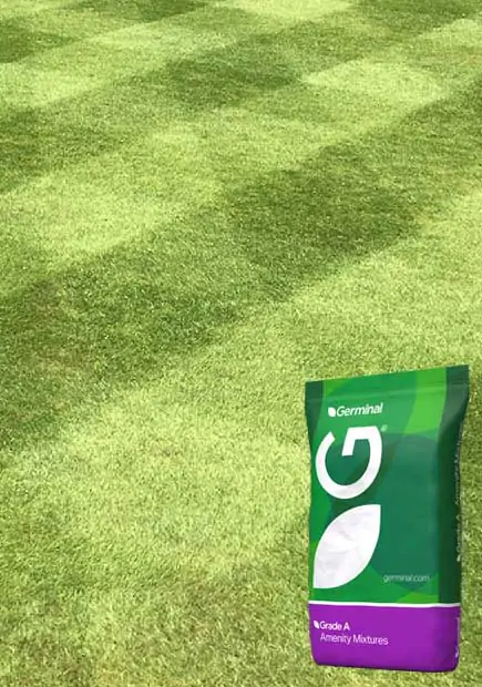 A2 Quality Lawn