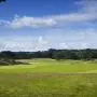 A34 Fescue Fairways and Surrounds - 1