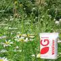 RE1 Traditional Hay Meadow (MG5 Grassland) - 0