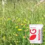 RE2 Lowland Meadow (MG9 Grassland) - 0