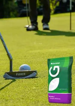 AberMajesty Golf Green Seed  Bag