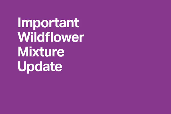 Important Wildflower Mixture Update