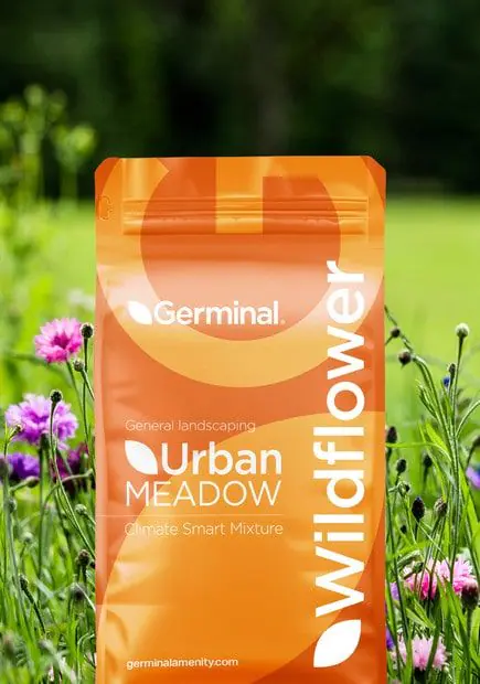 Garden Wildflowers | Wildflower Mixtures Germinal Amenity