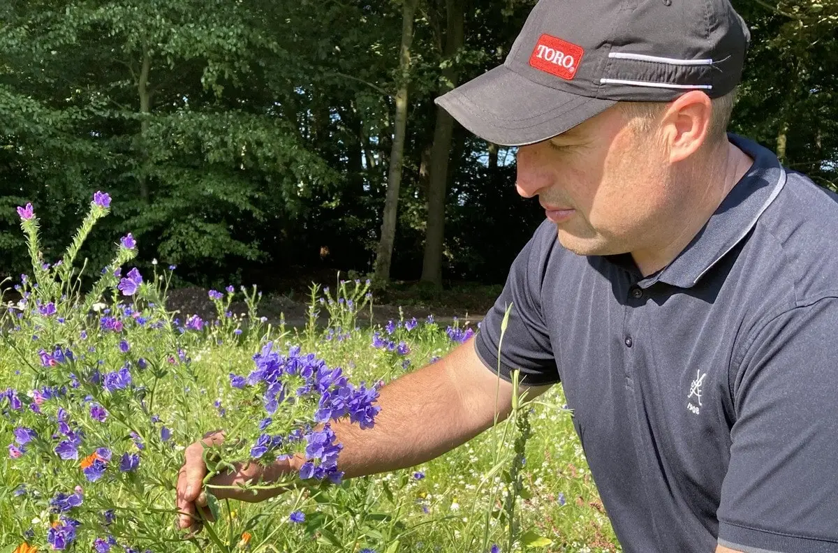 Enhancing biodiversity with wildflower habitats at Little Aston Golf Club