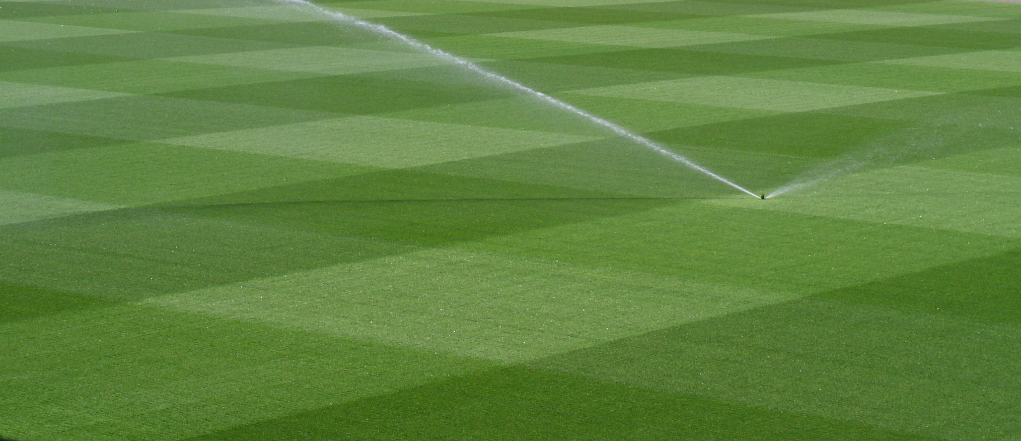 Top-rated perennial ryegrass joins the A20 squad