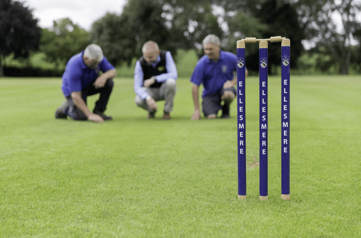 Cricket pitch maintenance