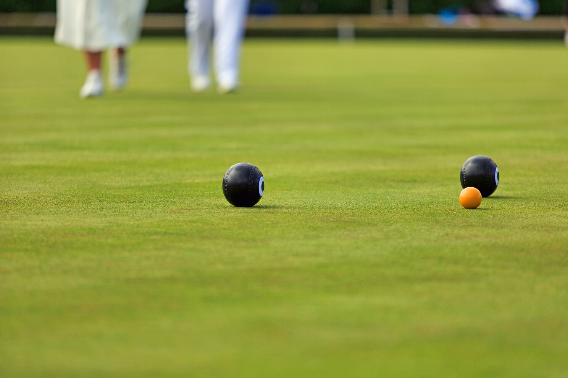 What type of bowling green grass seed should I use?