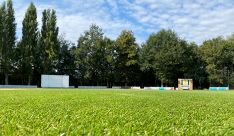 Keeping East Molesey’s cricket square in prime condition
