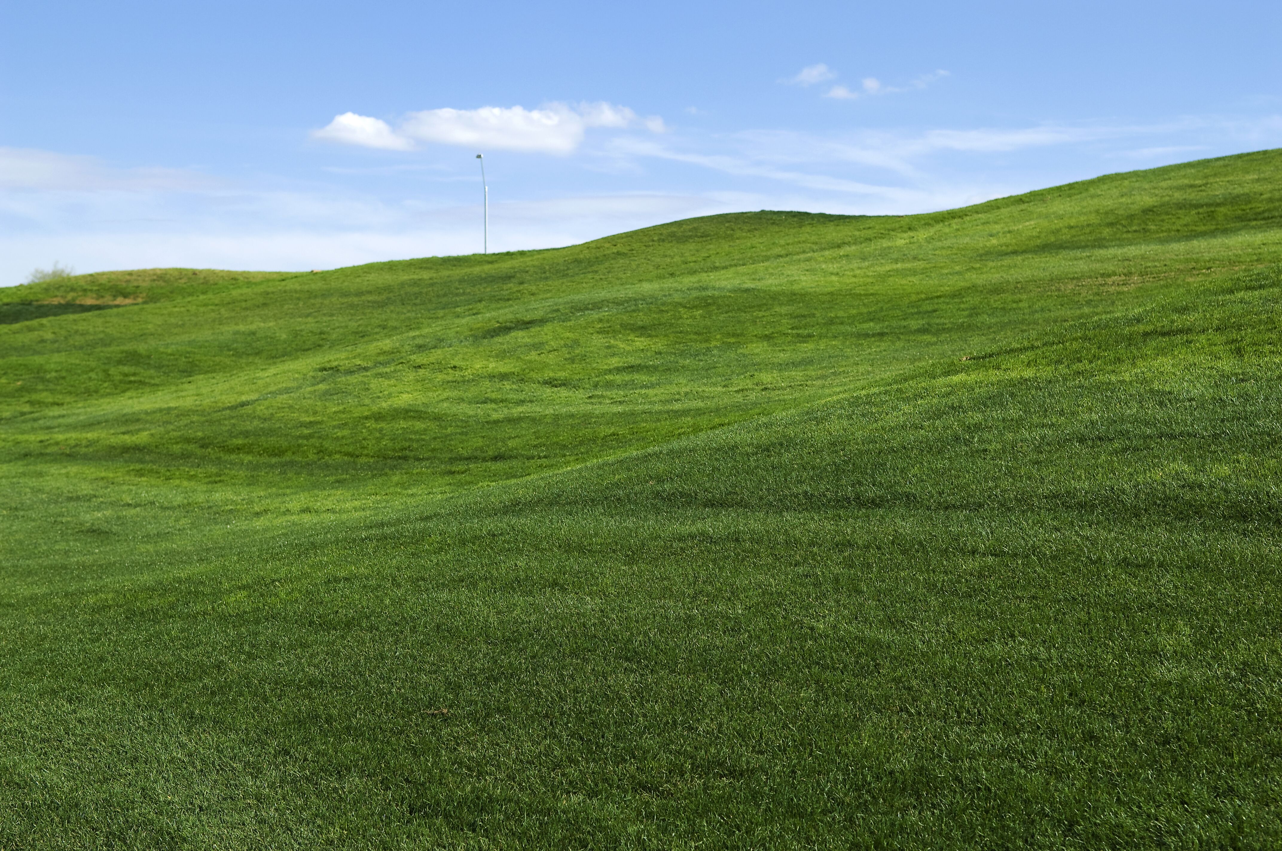 Establishing grass cover on banks and slopes: Tips for best results
